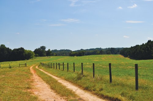Property photo 7 - 1,575+/- Acres Offered in 23 Tracts